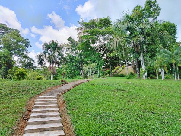 5 Days Ayahuasca Peru Healing Retreat - Image 2