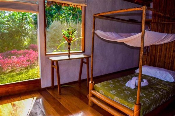 5 Days Ayahuasca Peru Healing Retreat - Image 4