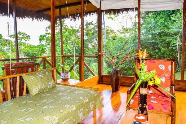 5 Days Ayahuasca Peru Healing Retreat - Image 5