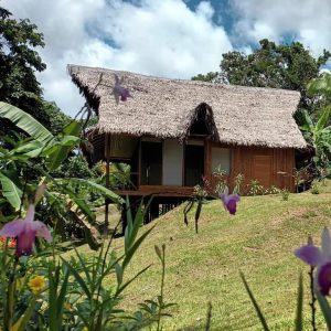 8 Day Ayahuasca and San Pedro Healing Retreat in Peru