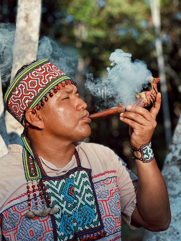 Shamanism and Curanderismo course - Image 6